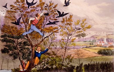 Überfall auf das Nest der Krähen von Henry Thomas Alken